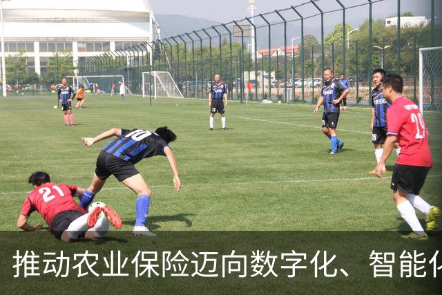 推动农业保险迈向数字化、智能化、标准化（政策解读）